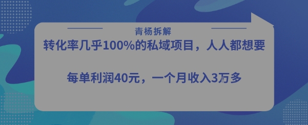 转化率最高的私域项目,每单利润40-50米,月入过1w-优优云网创