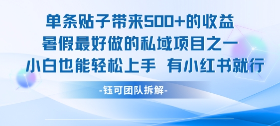 单条贴子带来5张的收益,暑假最好做的私域项目之一,小白也能轻松上手,有小红书就行-优优云网创