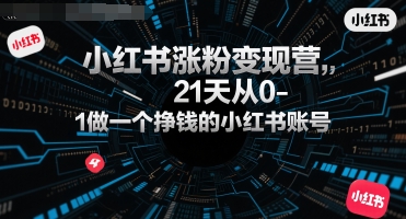 小红书涨粉变现营,21天从0-1做一个挣钱的小红书账号-优优云网创