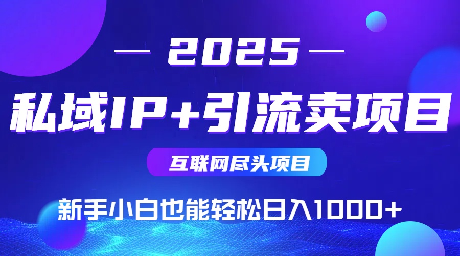 2025网创尽头项目，私域IP+引流，新手小白也能在家日入1000+-优优云网创